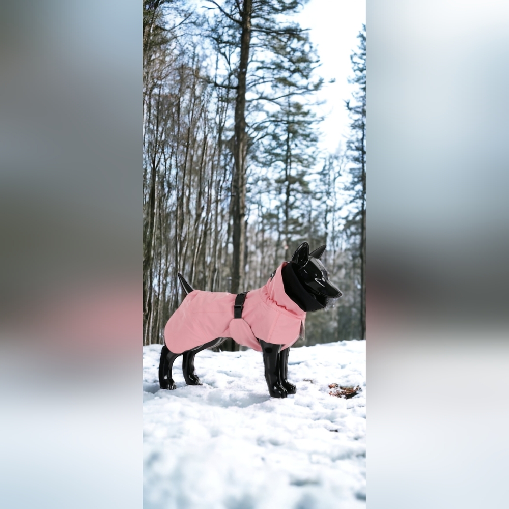 Paikka Finland visibility winter jacket dog